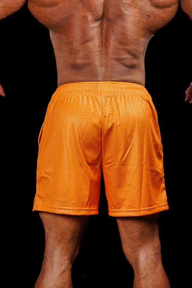ONYX MESH SHORTS -
