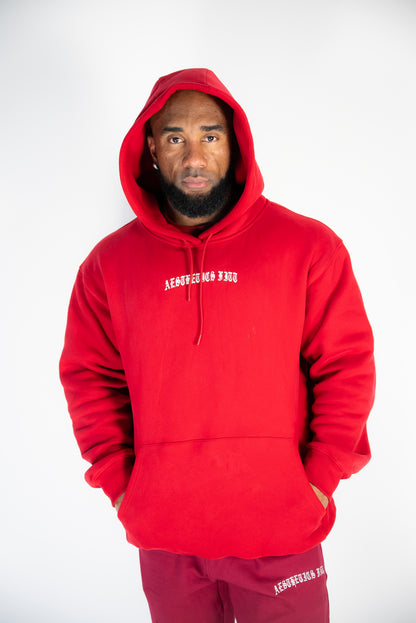 FORGED IN IRON HOODIE - CARDINAL