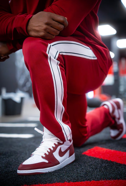 PHANTOM JOGGERS - BLACK CHERRY