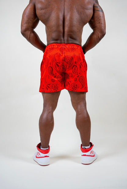 AEFT MESH SHORTS - CAJUN RED BANDANA