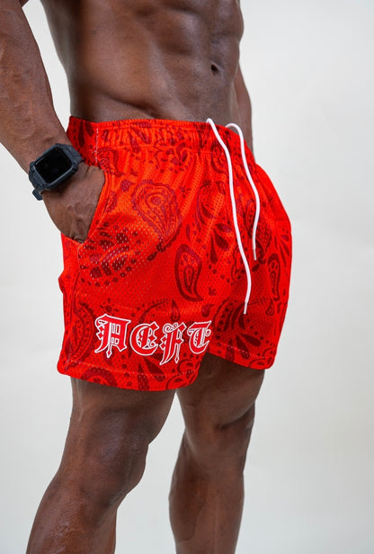 AEFT MESH SHORTS - CAJUN RED BANDANA