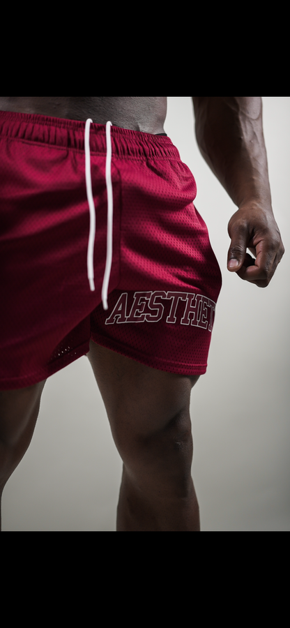 AESTHETICS MESH SHORTS - BURGUNDY