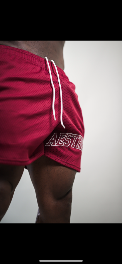 AESTHETICS MESH SHORTS - BURGUNDY