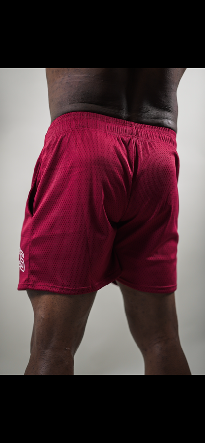 AESTHETICS MESH SHORTS - BURGUNDY